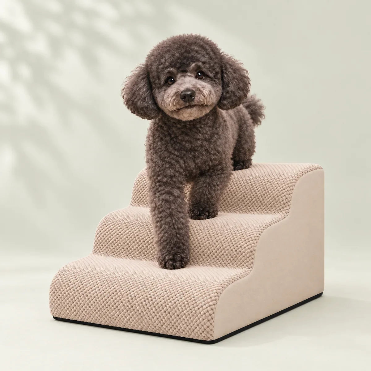 Ein Toypudel mit der weichen Hundetreppe AuraEase für Bett und Sofa