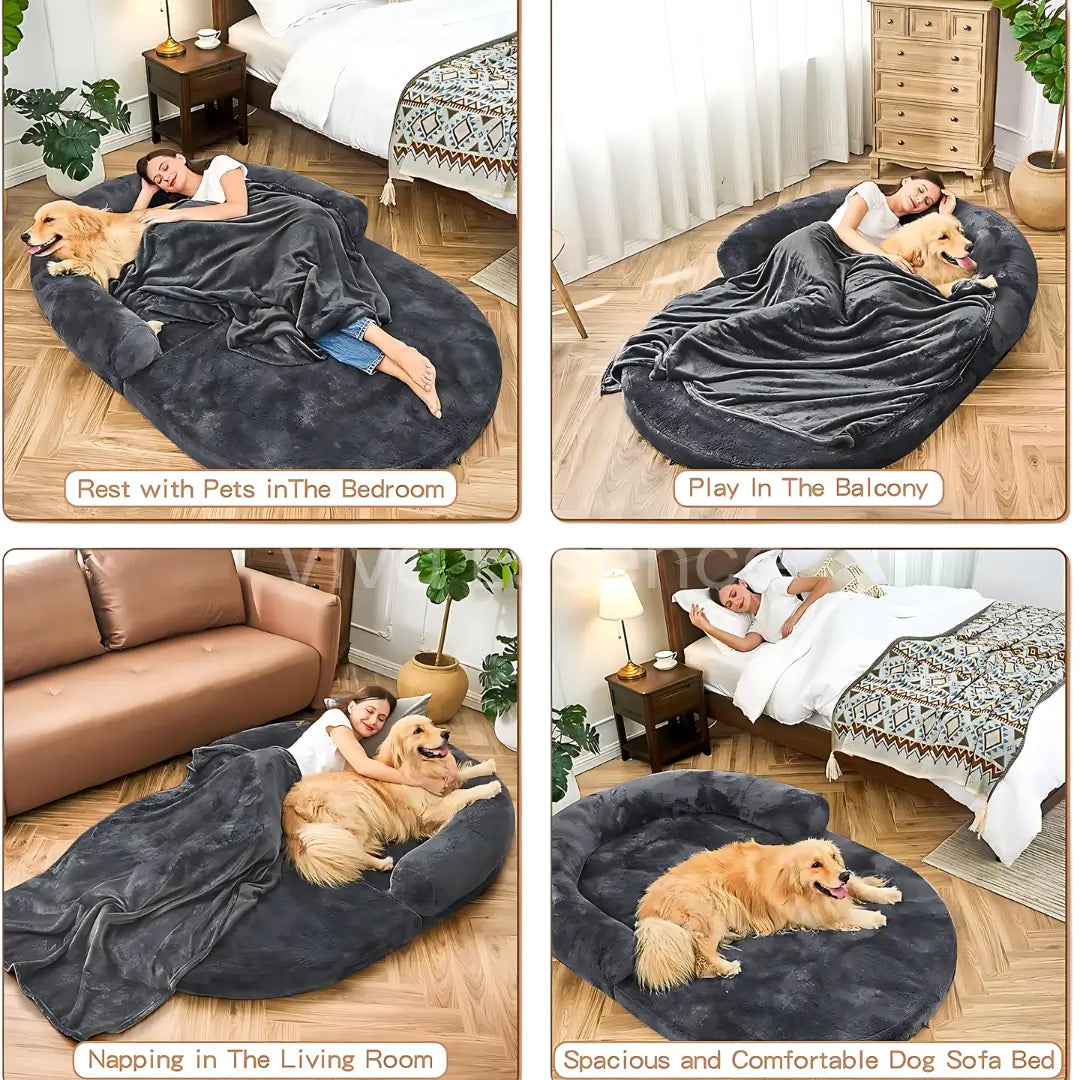 The Human Dog Bed: A Sofa for You & Your Pet - -Viva Essence Pet