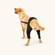 ProCare canine knee and leg brace featuring adjustable straps for secure dog leg support - vivaessencepet