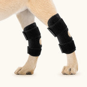 ProCare dog hock brace for targeted rear-leg support and daily stability routines - vivaessencepet