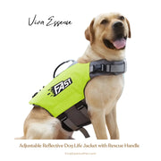 A happy Golden Retriever swims in the water wearing a high-visibility dog life jacket with a rescue handle - vivaessencepet