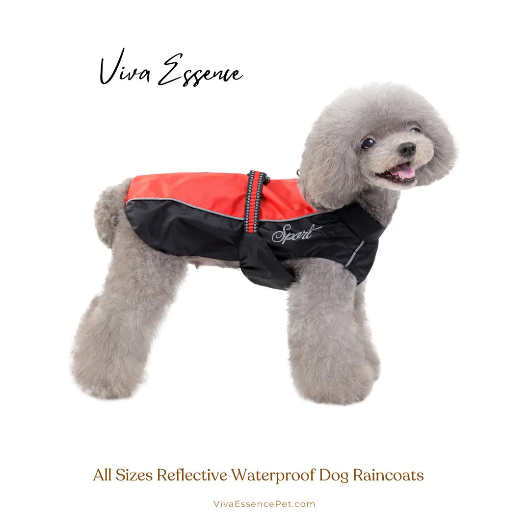 Safe & Dry Reflective Dog Raincoat - -Viva Essence Pet