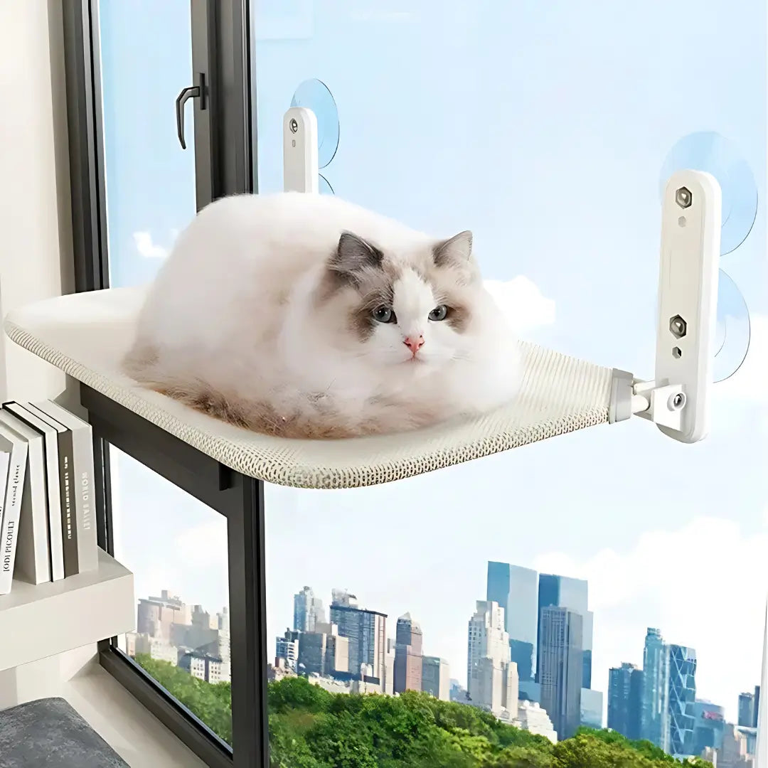 Secure & Stylish Cat Window Perch Hammock - -Viva Essence Pet