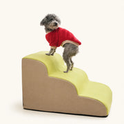 小型犬がソファに上りやすいように、毎日の上り動作を楽にする Gentle Slope ペット用ランプ - vivaessencepet