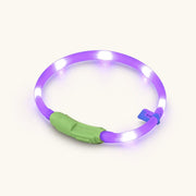 Collier lumineux AuraGlow pour chien aux couleurs vives pour une visibilité et une sécurité optimales la nuit - vivaessencepet