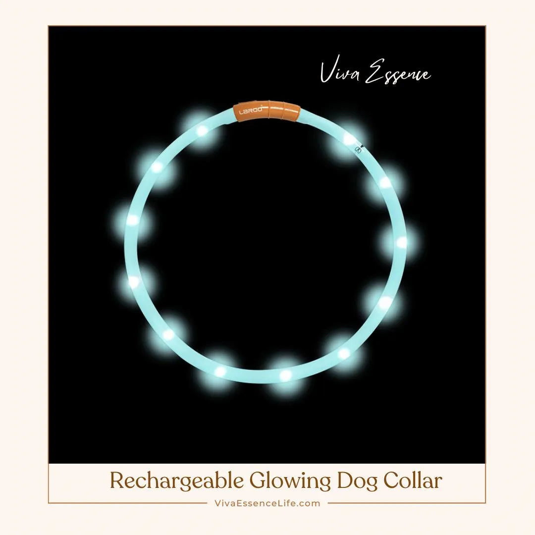 AuraGlow LED Dog Collar: Illuminate Nighttime Walks - -Viva Essence Pet