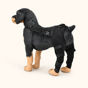 ProCare canine leg support brace for supervised dog mobility routines - vivaessencepet
