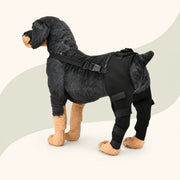 Attelle de soutien pour la patte canine ProCare pour les routines de mobilité canine sous surveillance - vivaessencepet