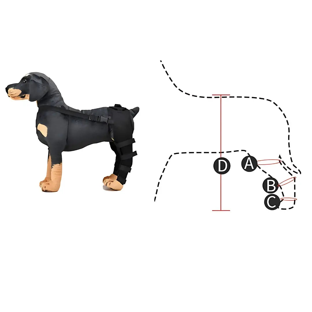 ProCare Canine Leg Support Brace for Mobility - -Viva Essence Pet