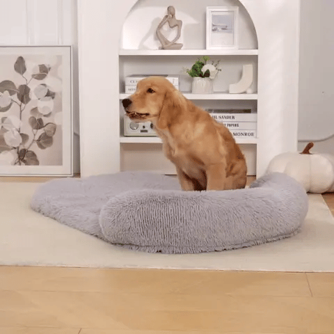 Verhoogd comfort bij elk dutje