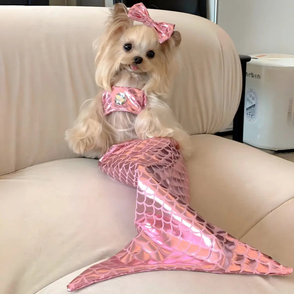 Costume de sirène ludique pour chat transformant votre félin en créature marine fantaisiste pour un plaisir enchanteur à partager - vivaessencepet