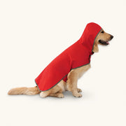 Viva Raincoat en un perro, un abrigo impermeable para perro que garantiza que tu mascota se mantenga seca y con estilo - vivaessencepet