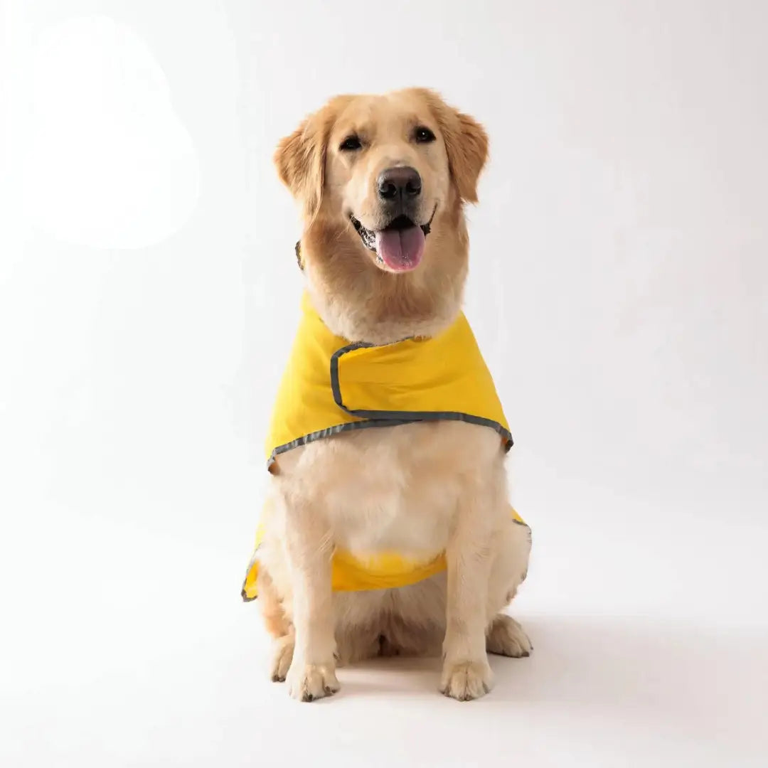 Viva Raincoat: Dry, Seen & Stylish on Every Walk - -Viva Essence Pet