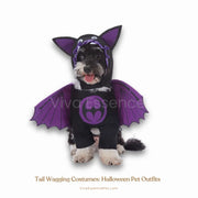 A black cat looking adorable in a Bat Cat™ Halloween pet costume with purple wings and a funny hood - vivaessencepet