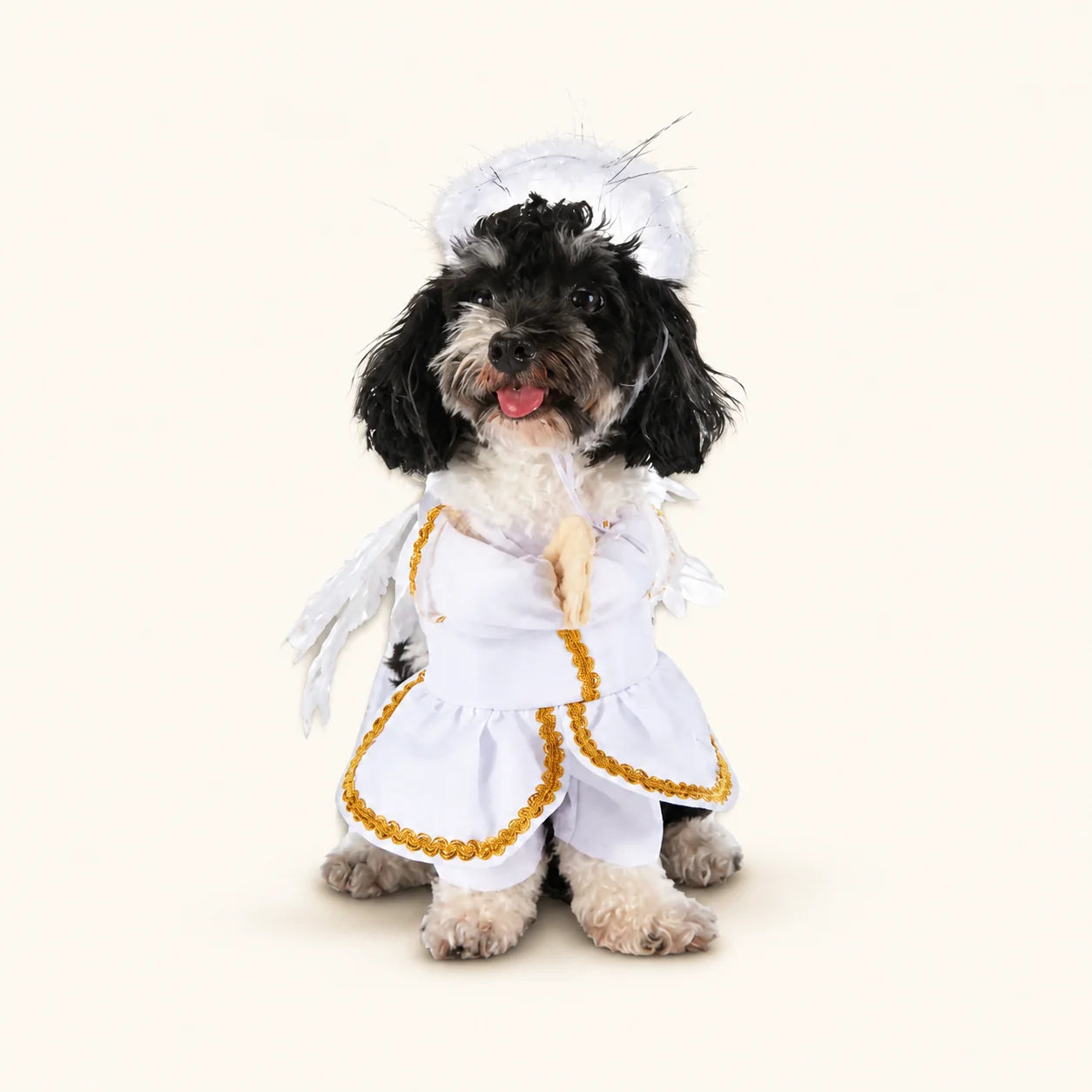 Costume d’Halloween lavable en machine et confortable pour chiens et chats, pour un entretien facile et une longue durée d’utilisation - vivaessencepet