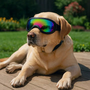 A happy German Shepherd wearing black UV dog goggles, offering complete eye protection from sun and dust - vivaessencepet