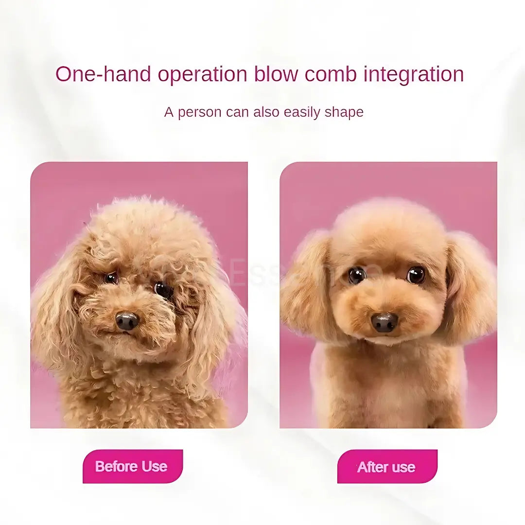 PetPulse 2-in-1 Grooming Dryer & Brush - -Viva Essence Pet