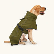 All-weather reflective dog coat featuring a waterproof nylon shell for winter walks - vivaessencepet