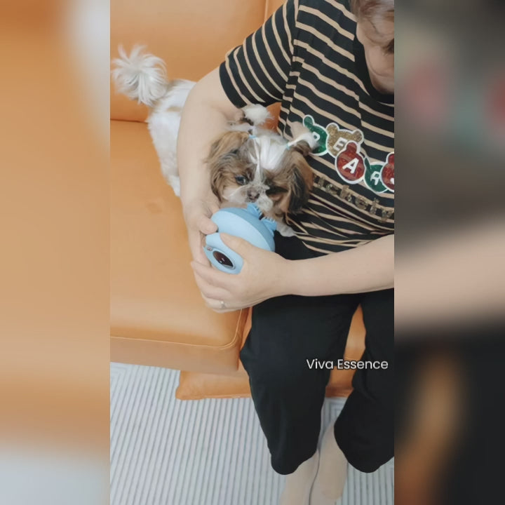 Rechargeable cat massager with one-click operation and a long-lasting one week battery - vivaessencepet