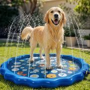 Golden retriever playing on a blue dog splash pad with water jets