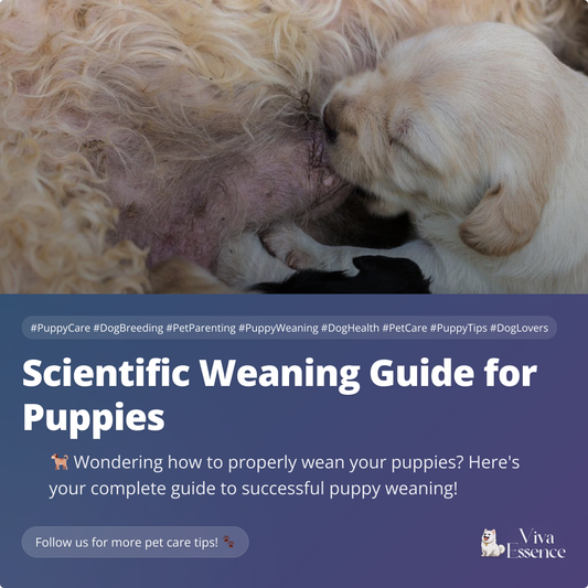 Scientific Weaning Guide for Puppies