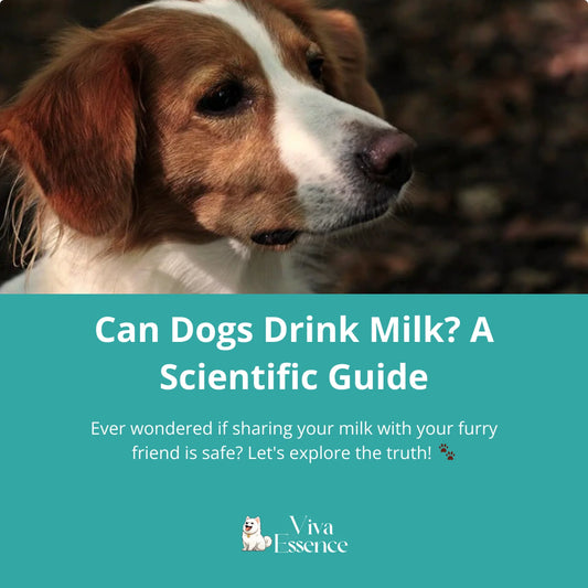 Brown and white dog resting above a milk safety guide title card