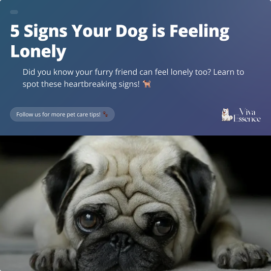 5 Signs Your Dog is Feeling Lonely