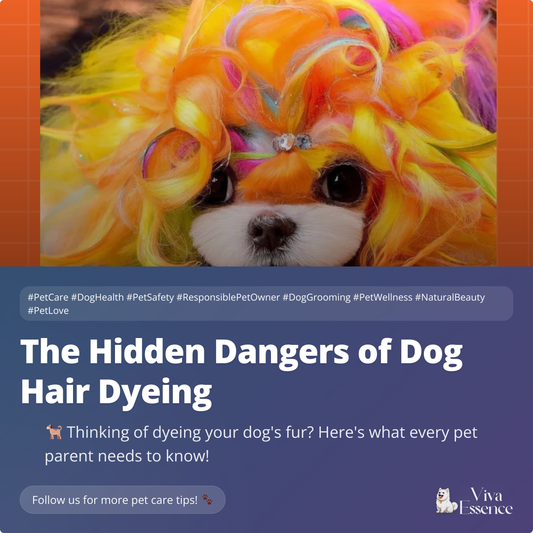 The Hidden Dangers of Dog Hair Dyeing