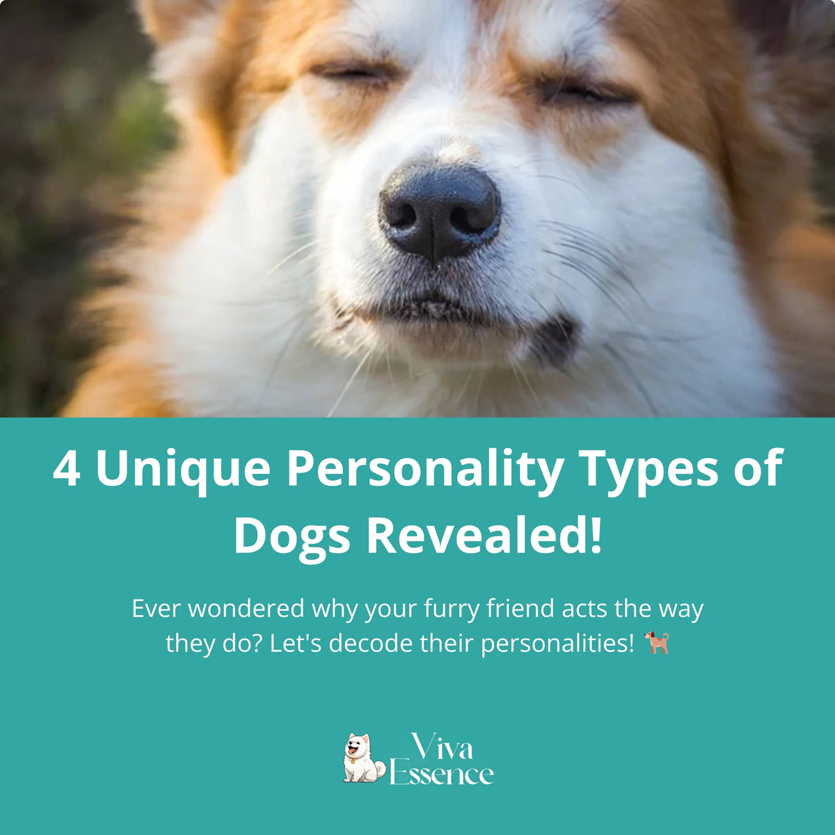 Dog personality types guide graphic with a dog portrait and title text