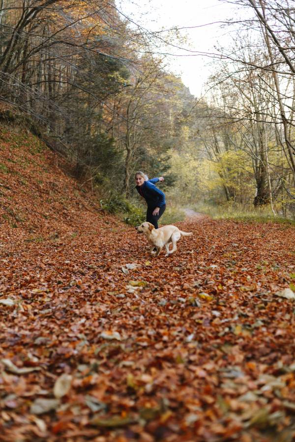 Person walking a dog on a leaf-covered trail
