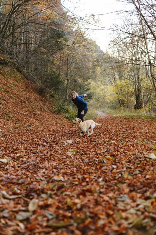 Persona che porta a spasso un cane su un sentiero coperto di foglie