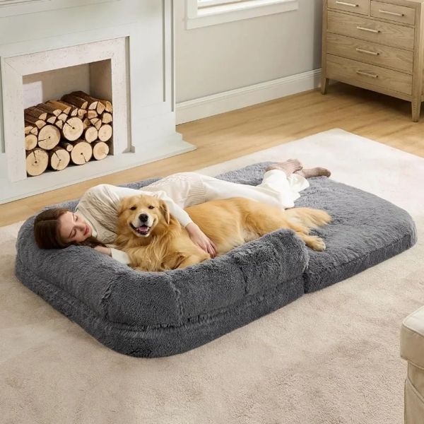 A ciência por detrás das camas para cães e humanos: conforto redefinido