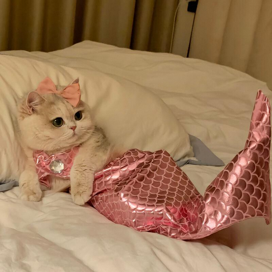 Magical Meows as a Mermaid – Name Ideas