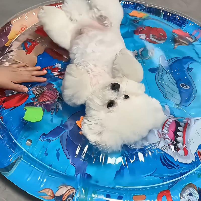 Pet Water Sensory Mats: Cooling & Fun for Your Pets