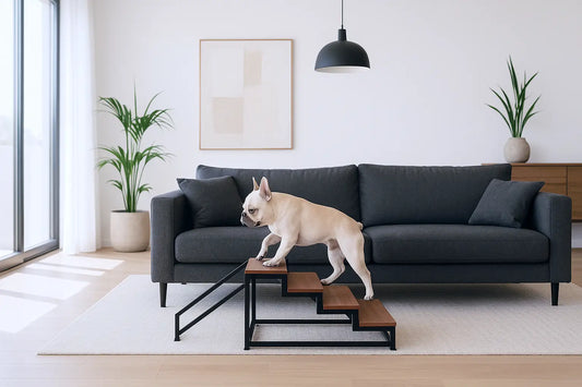 French Bulldog climbing small wooden pet stairs beside a sofa