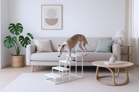 How to Find Dog Stairs for High Beds