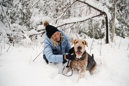 Pessoa e cão de pelo encaracolado juntos numa floresta coberta de neve