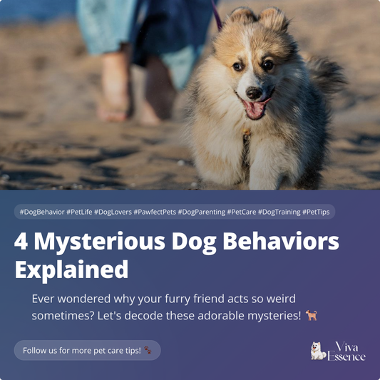 4 Mysterious Dog Behaviors Explained