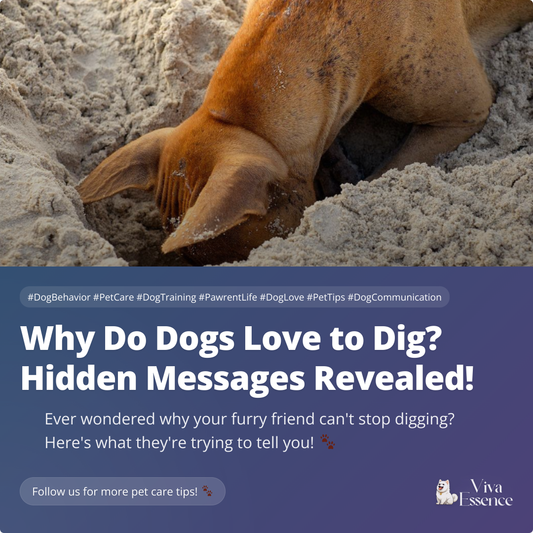 Why Do Dogs Love to Dig? Hidden Messages Revealed!