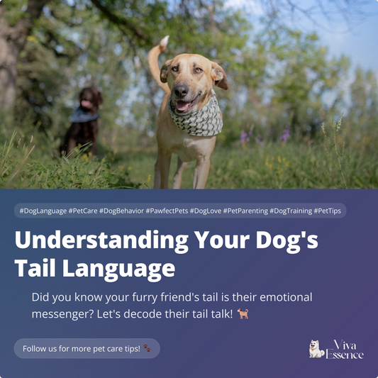 Understanding Your Dog's Tail Language