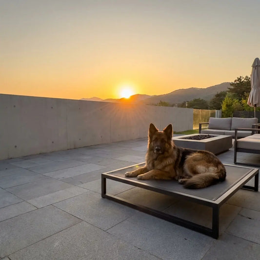 Heavy Duty Cooling Dog Bed: Ultimate Guide for Hot Climates