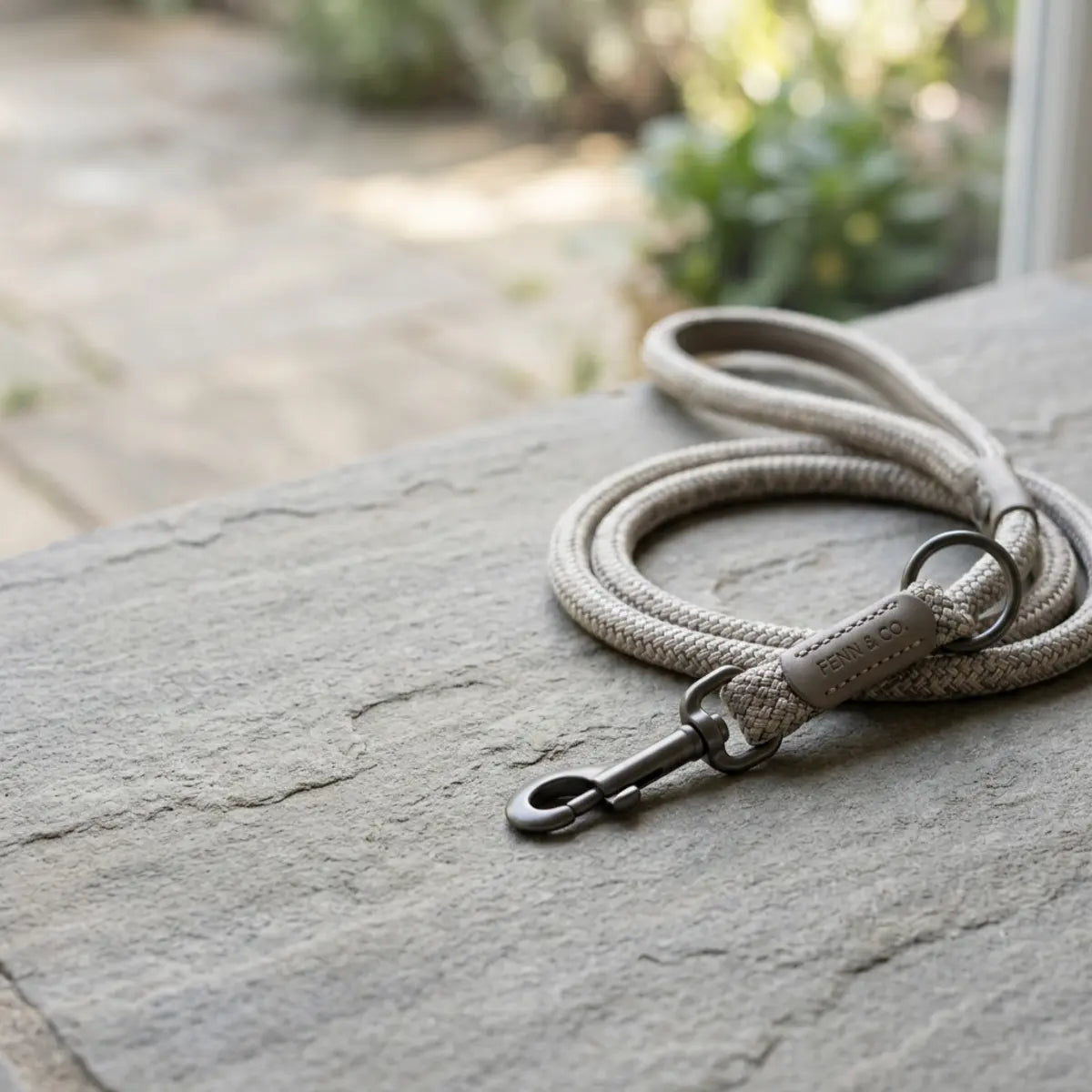 Coiled dog leash with a metal clip on a stone surface