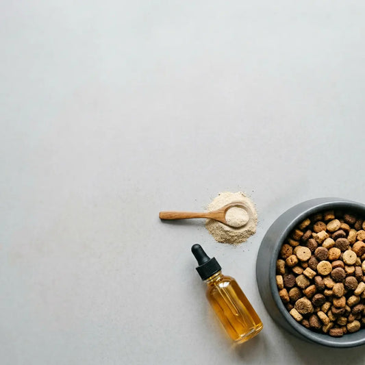 We Compared Dog Gut Support: Enzymes vs Probiotics