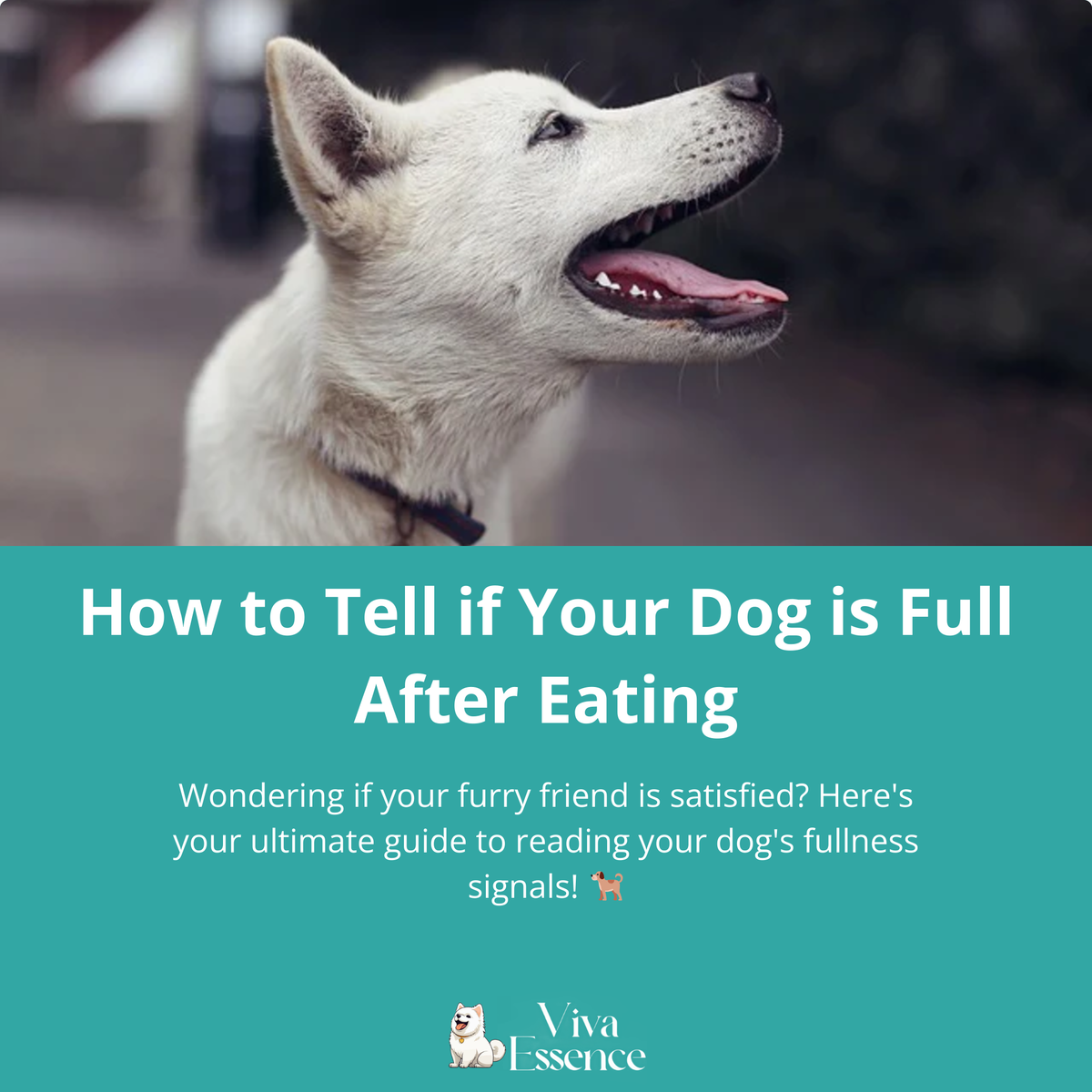 White dog sitting indoors with its mouth open
