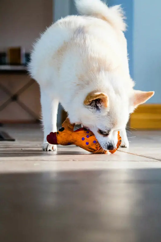 The Best Interactive Dog Toys