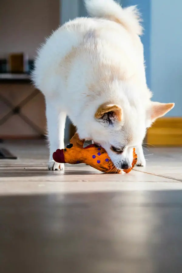 Os Melhores Brinquedos Interativos para Cães