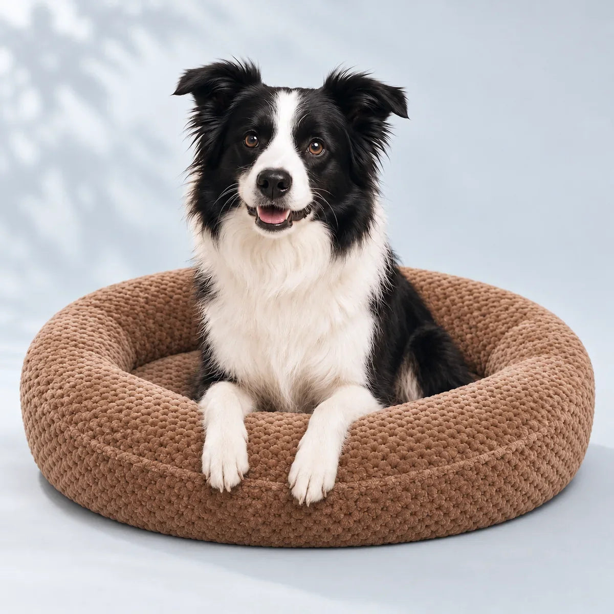 En border collie med PlushNest lyxig plyschbädd för husdjur