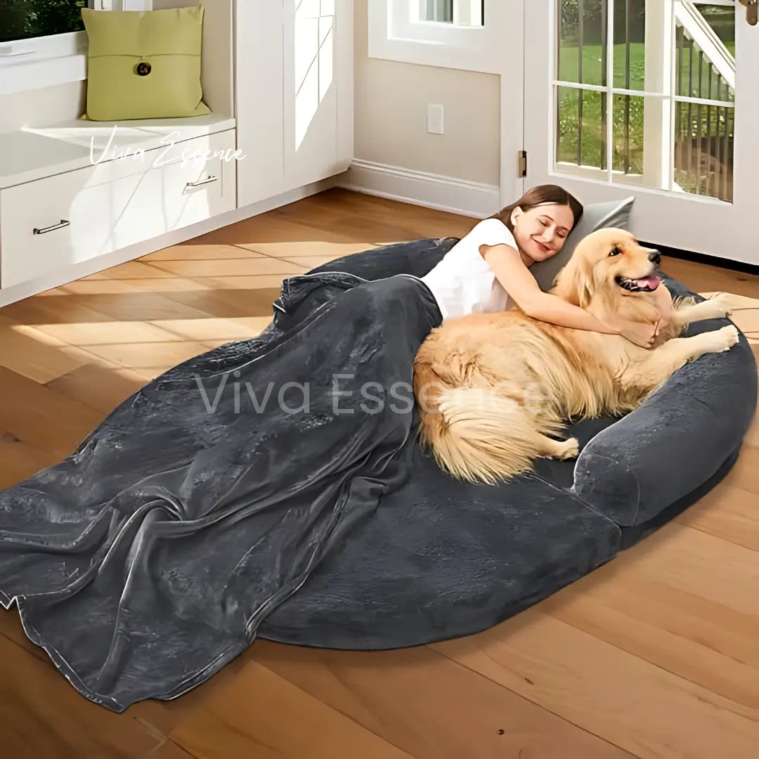 Modern human dog bed in a living room, providing a calming spot for relaxing with your pet - vivaessencepet