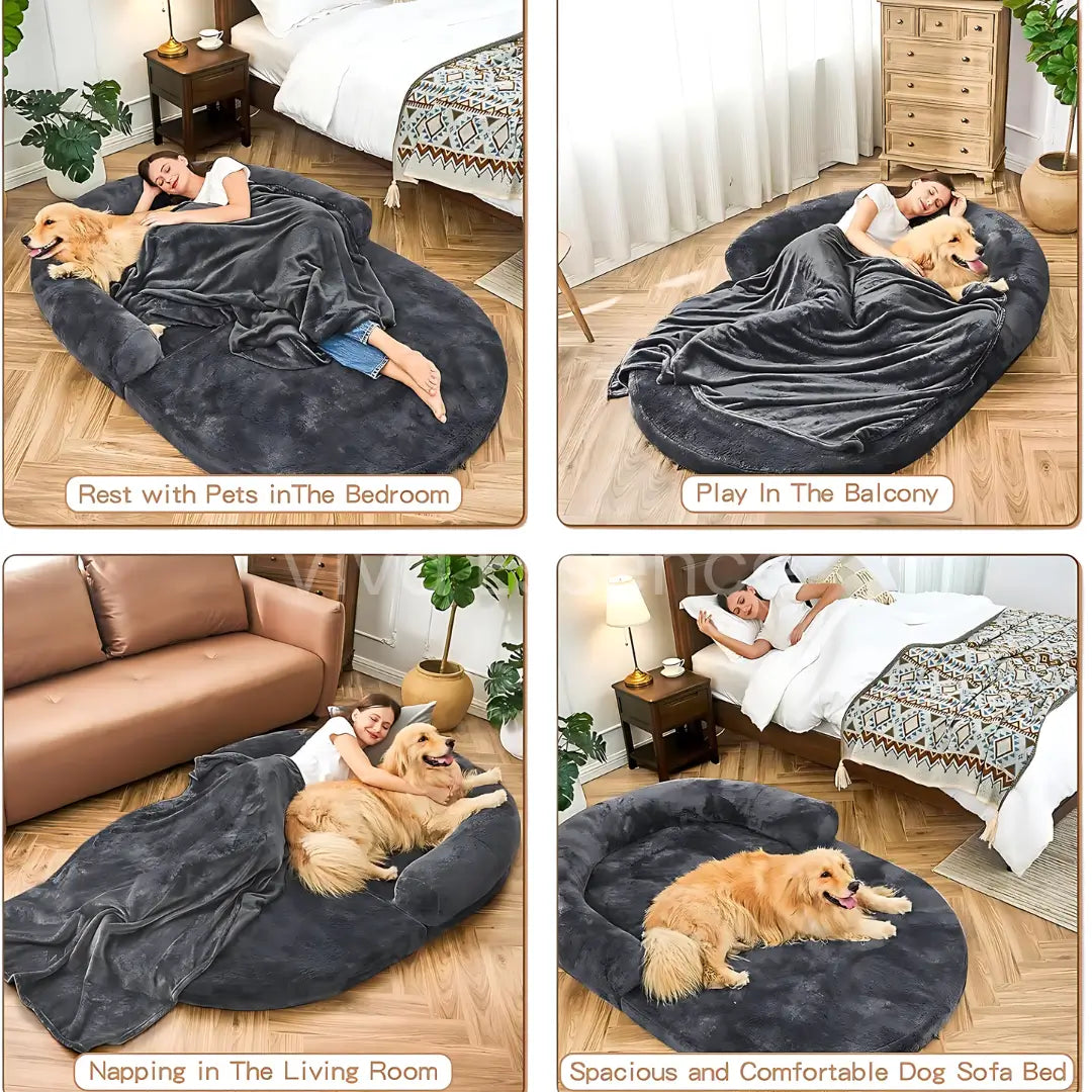 2-in-1 Calming Giant Dog Bed & Sofa for Pets & Humans - Viva Essence