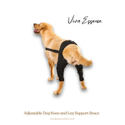 A black ProCare Canine Knee & Leg Brace, providing vet-approved joint support for improved mobility - vivaessencepet